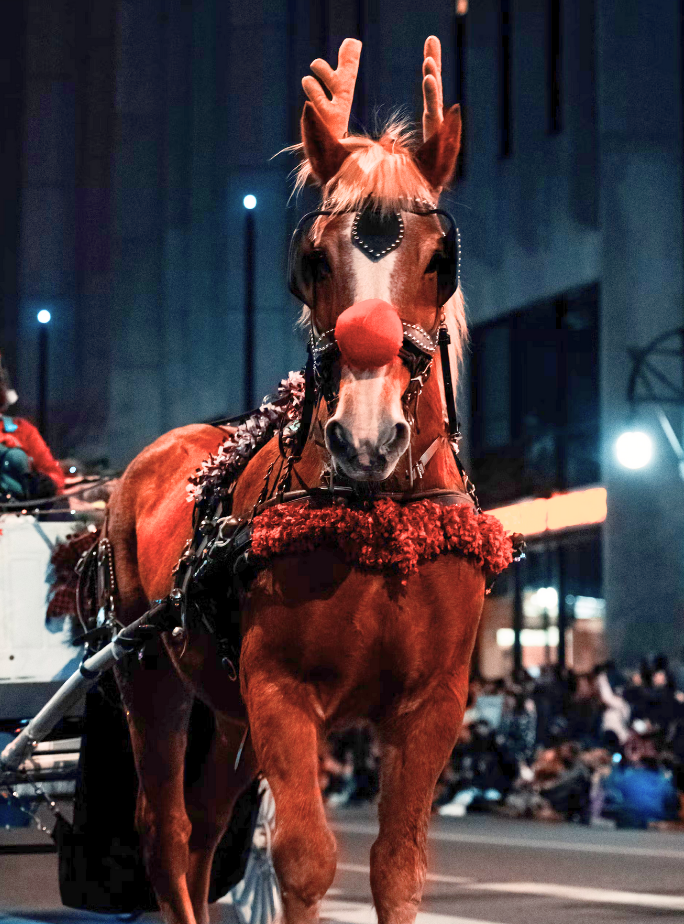 2026 Piqua Horse Parade image