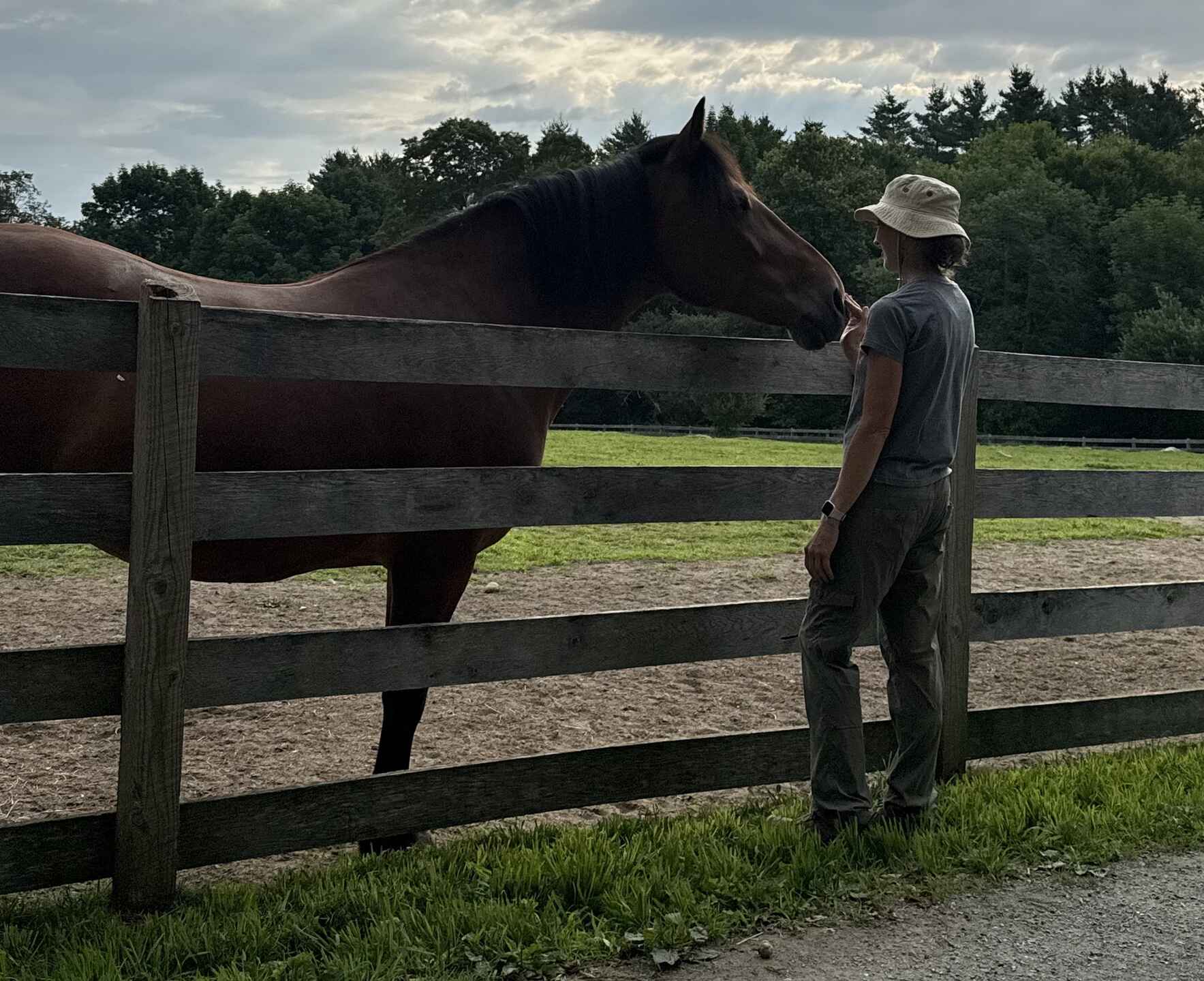 Sunday July 19th, 2026 Morning Meditation Walk image