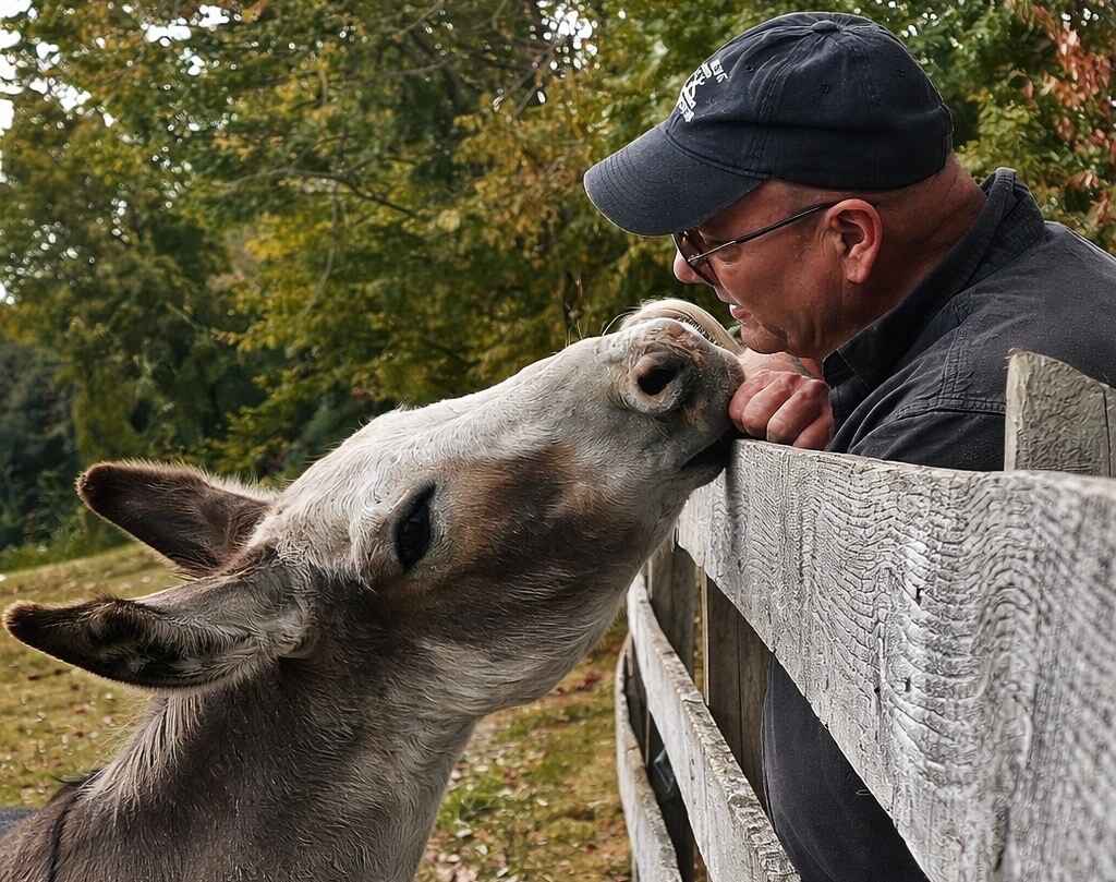 Saturday, October 17th, 2026 Immersion Tour image