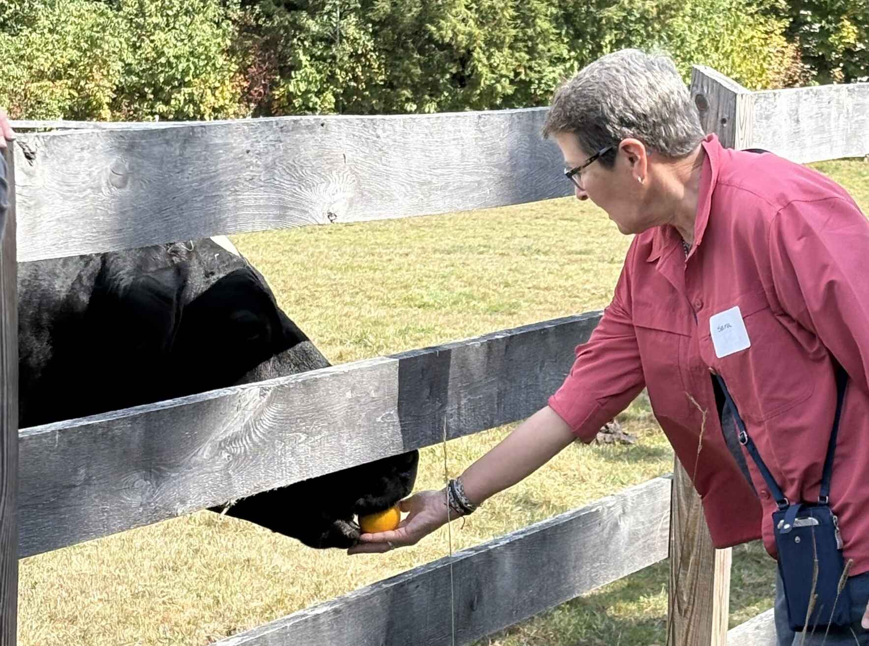 Sunday, October 18th, 2026 Tomten Traditional Tour image