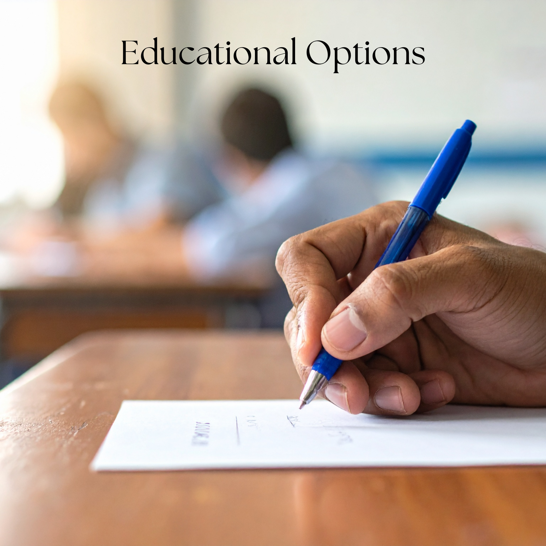 Finding the Right Fit: Education Pathways for Children on the Autism Spectrum image