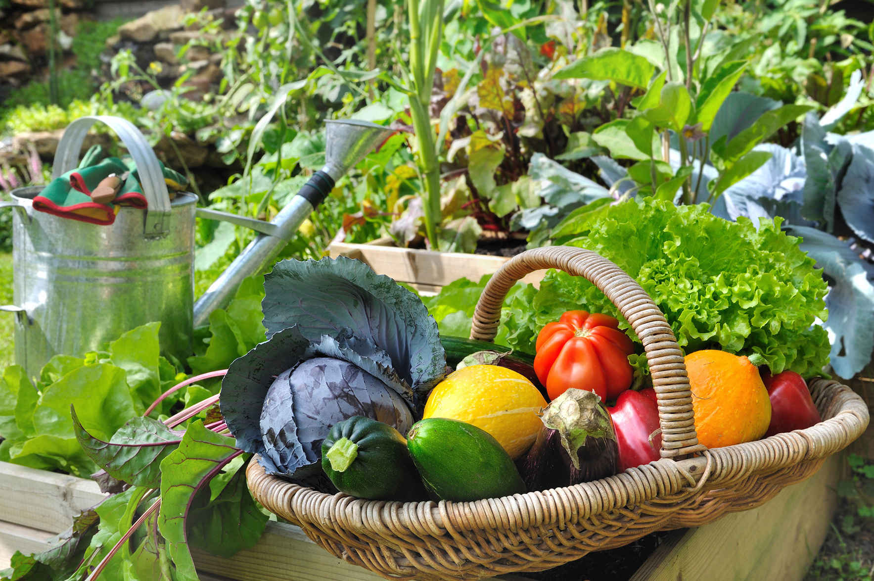 Urban Harvest Classes September - December 2019 image