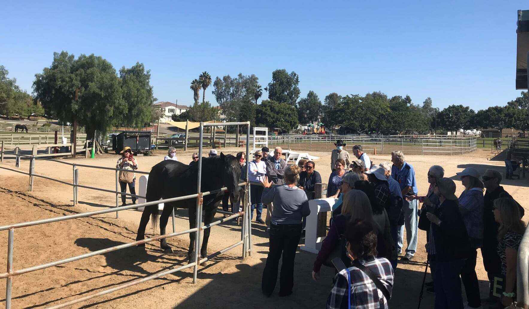 Meet and Greet February 2026 image