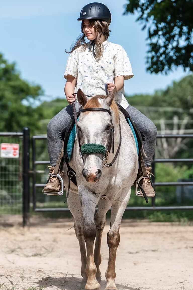 Starbrite Equine Therapy image