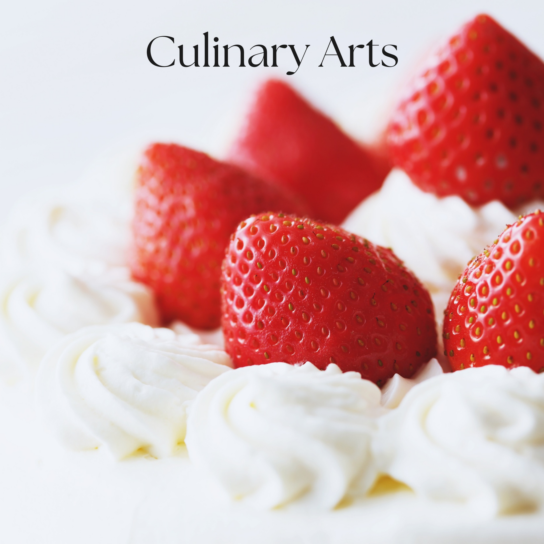 Culinary Arts: Hands-On Cooking and Career Exploration image