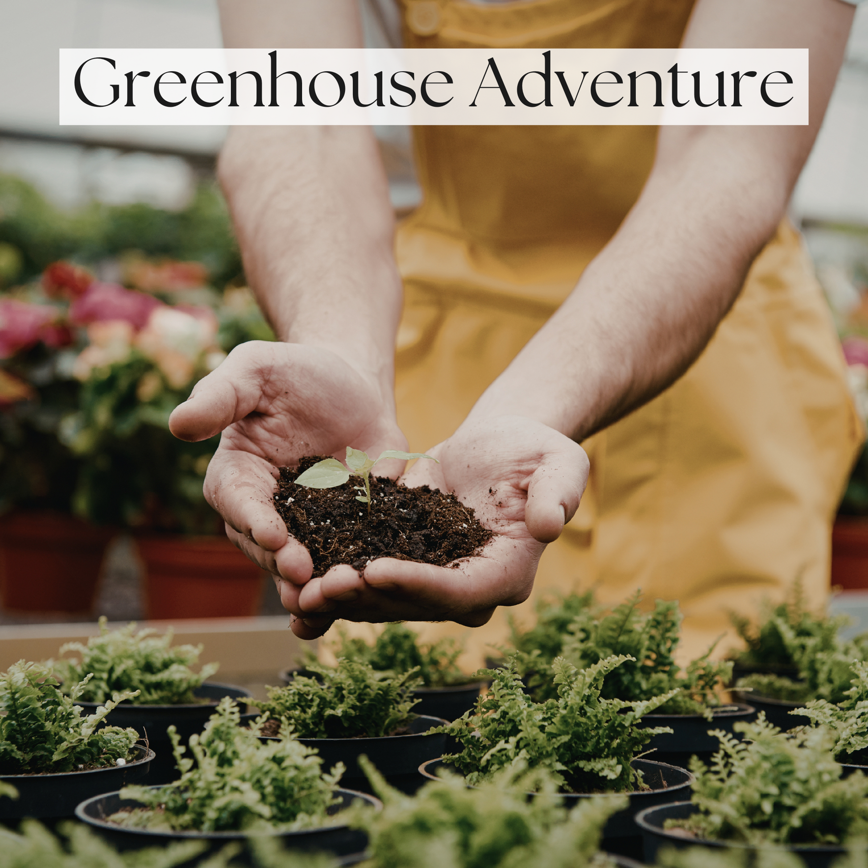 Growing Curiosity: A Hands-On Greenhouse Adventure image