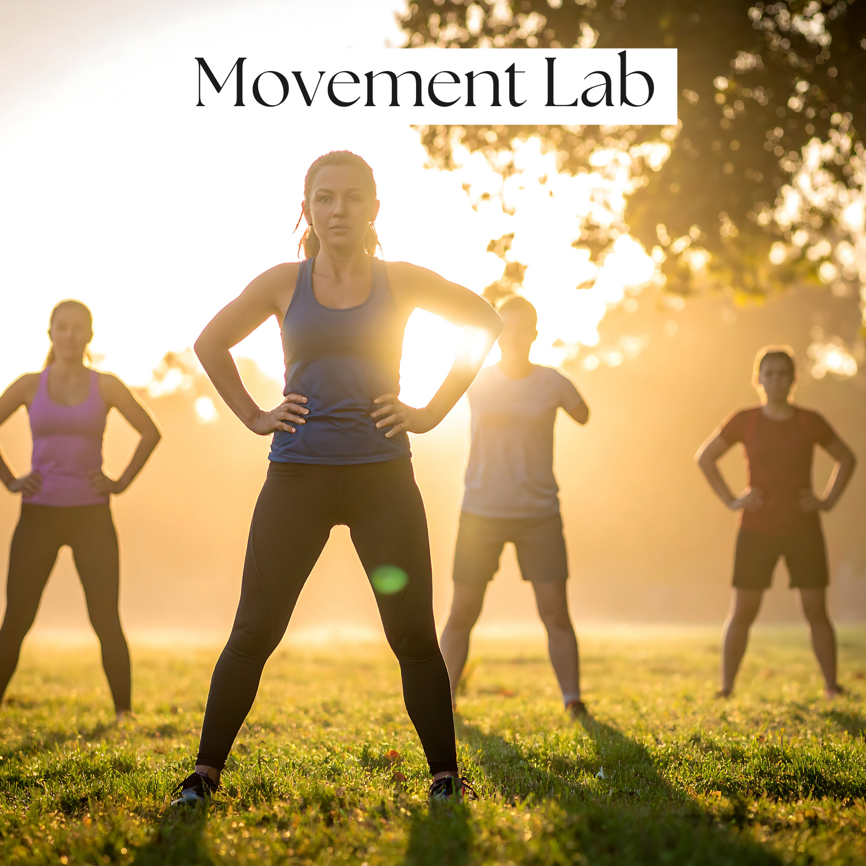 Movement Lab: Fun, Fitness, and Careers in Human Performance image