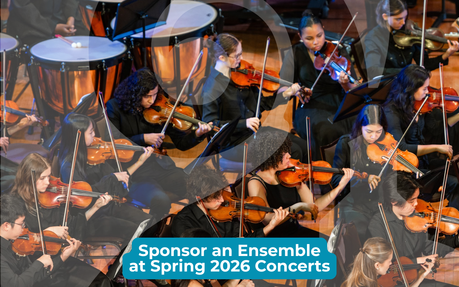Spring Concert Sponsorship 2026: DC Youth Orchestra Program image