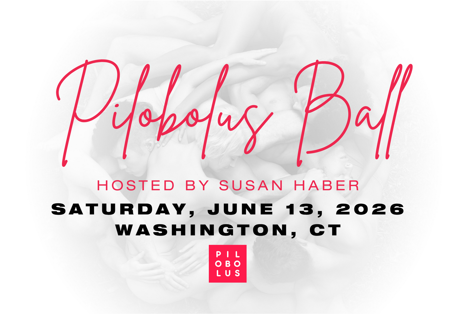 Pilobolus Ball 2026 image