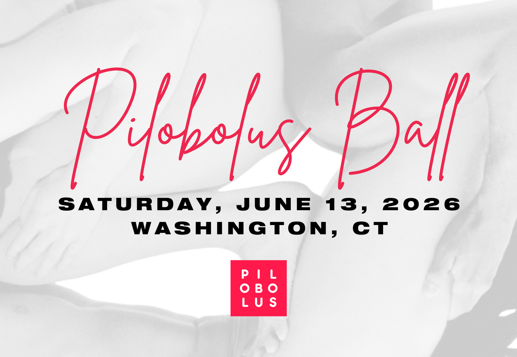 Pilobolus Ball 2026 image