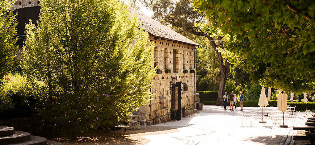 Evening Under The Stars image