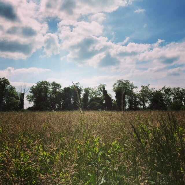 50+ Walking Series with AARP: Meadow Meander at Audubon image
