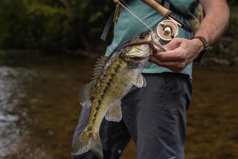 2026 Fly Fishing Film Tour image