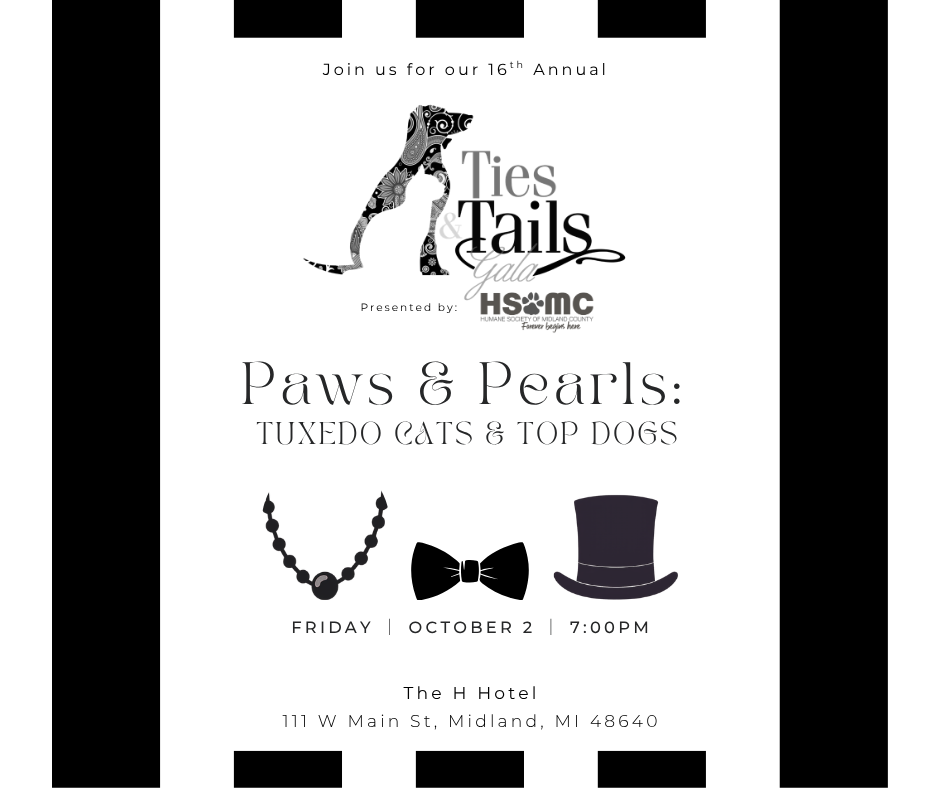 Ties & Tails Gala 2026 image