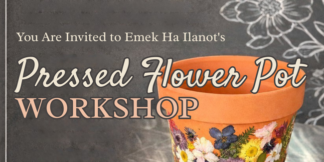 West - HSC - Northern - Emek Ha Ilanot - Pressed Flowerpot Workshop - 2026 image