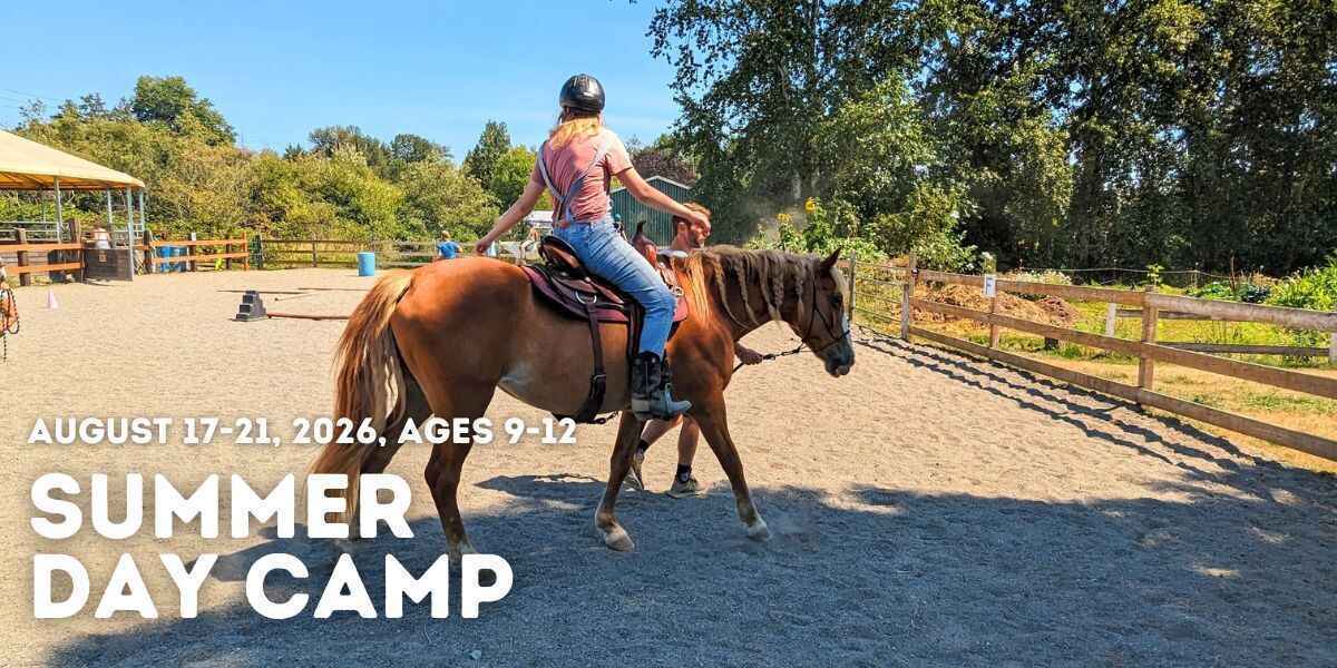 August 17-21, 2026 Full Day Camp image