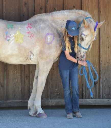 T.A.M.E. Summer Girls Horse Camp 2026 image