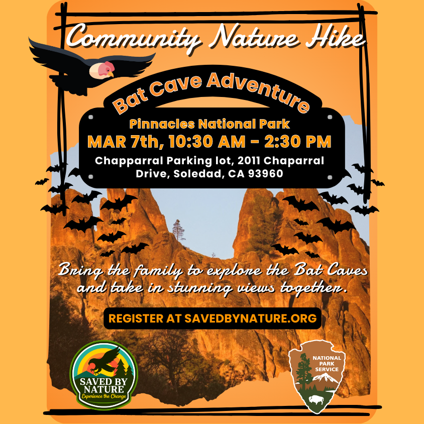 Community Nature Hike - Pinnacles National Park - Bat Cave Adventure image