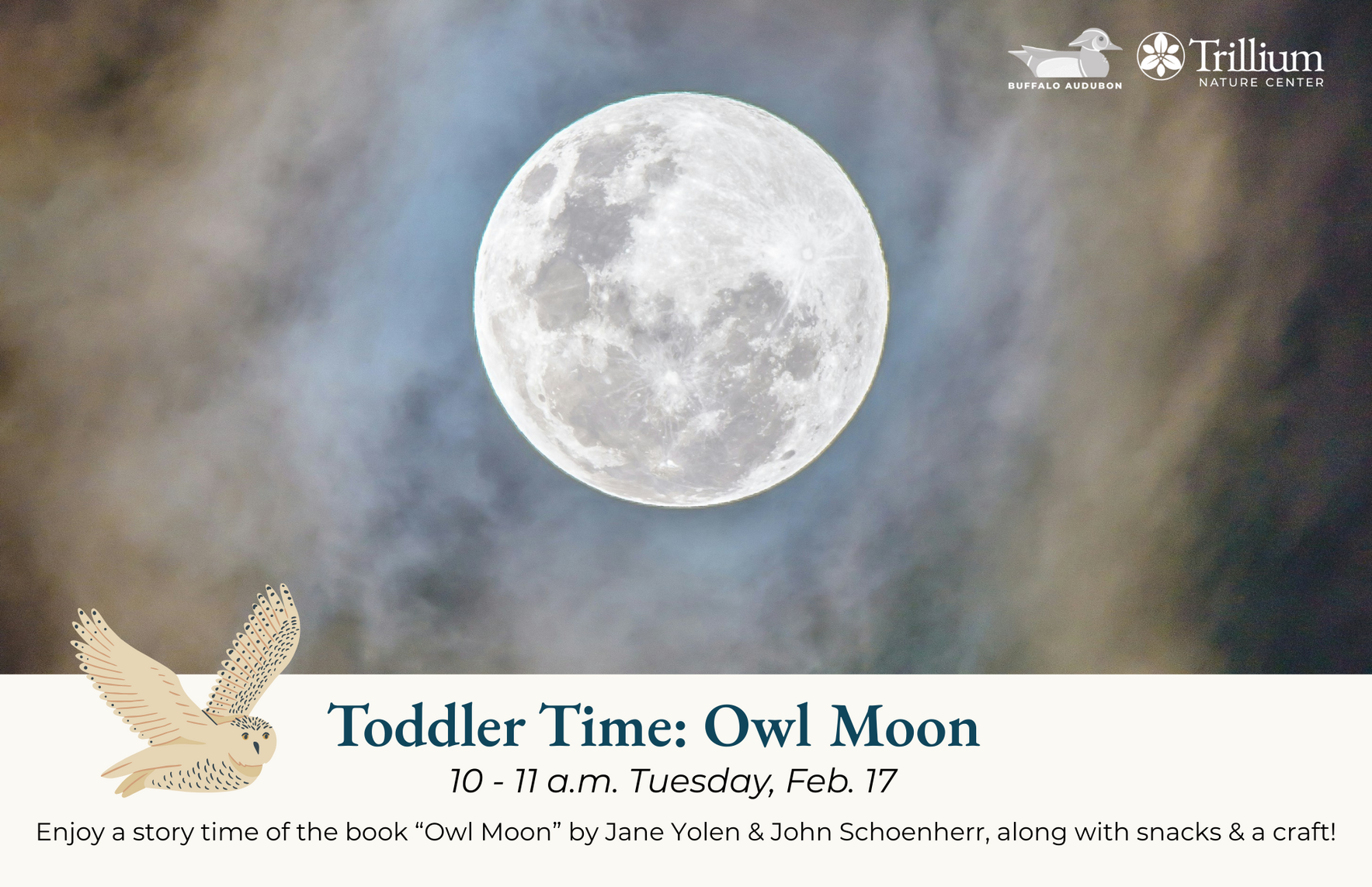 Toddler Time - Owl Moon image
