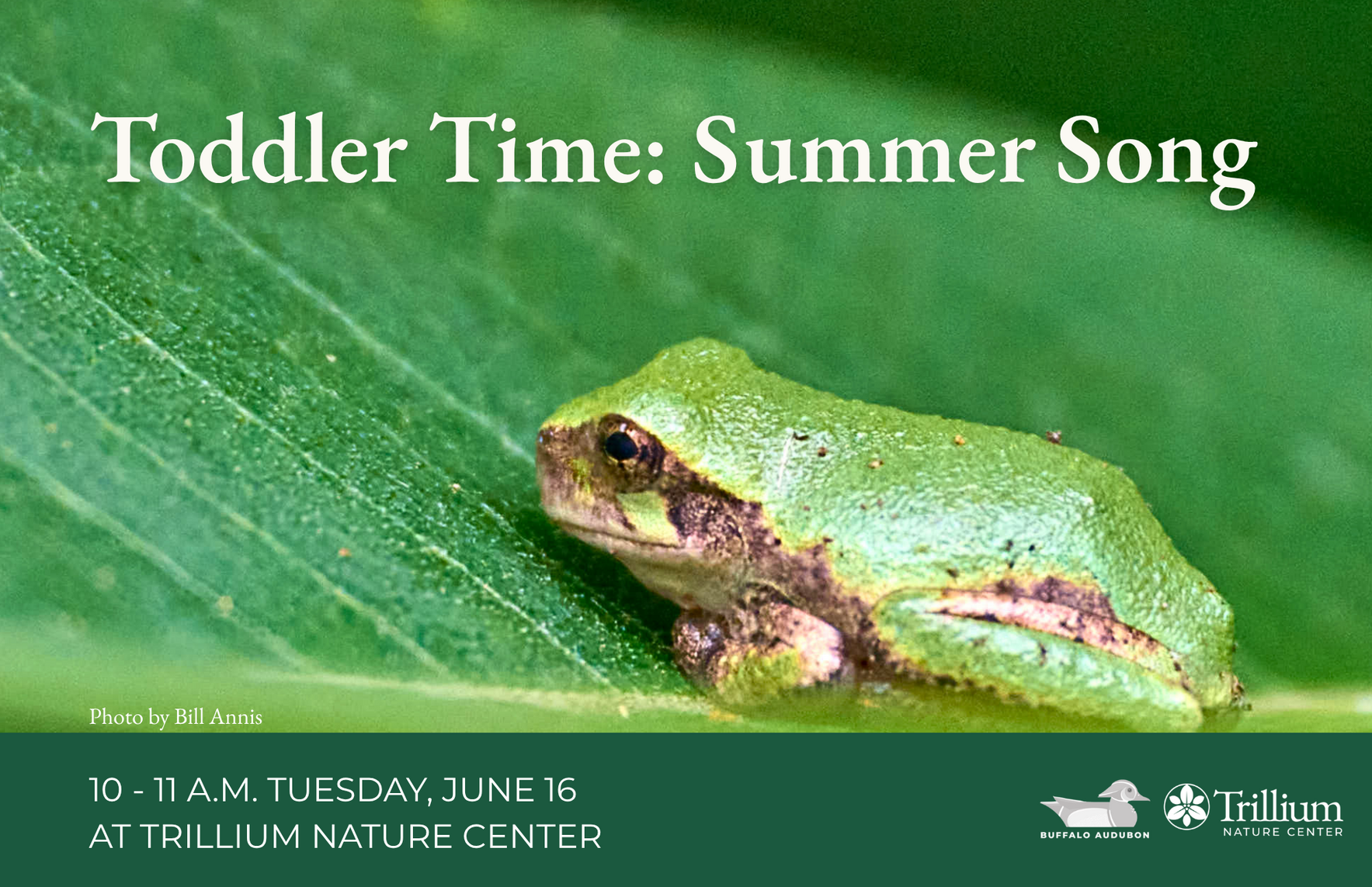 Toddler Time - Summer Song  image