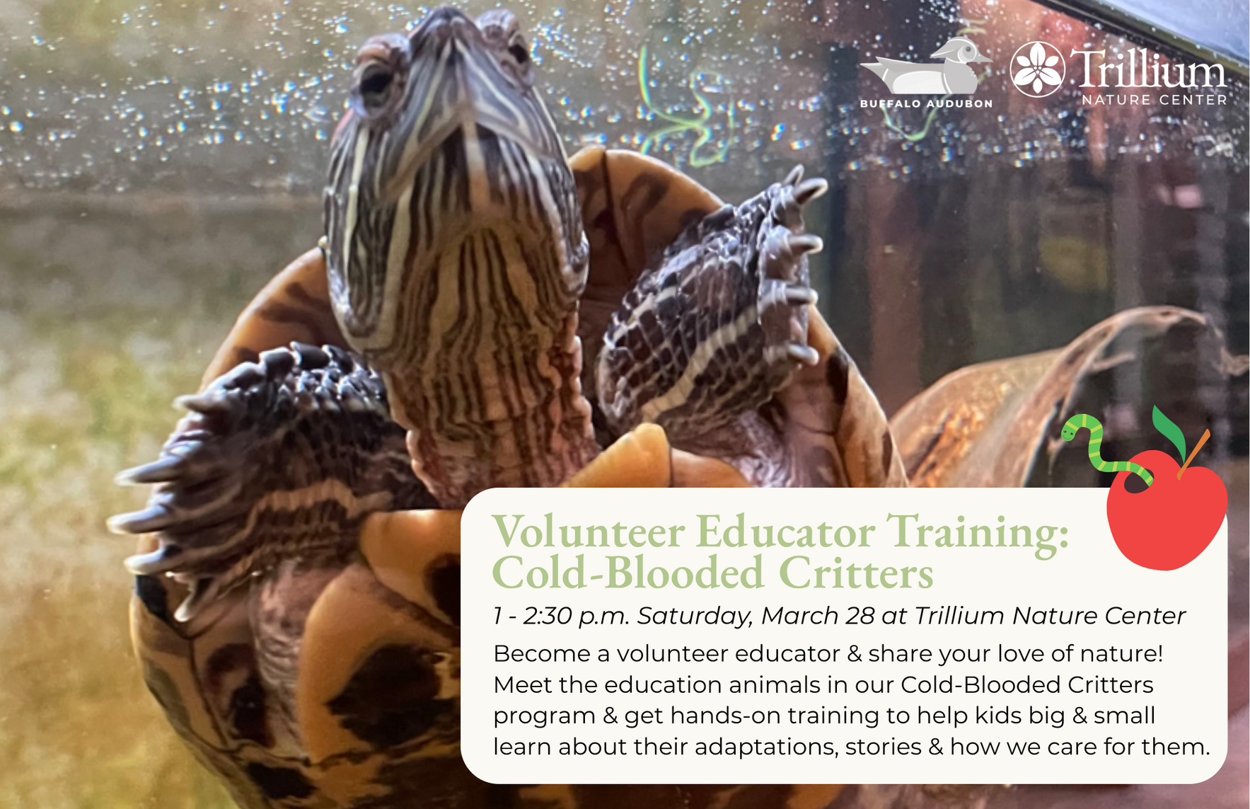 Volunteer Educator Training - Cold-blooded Critters image