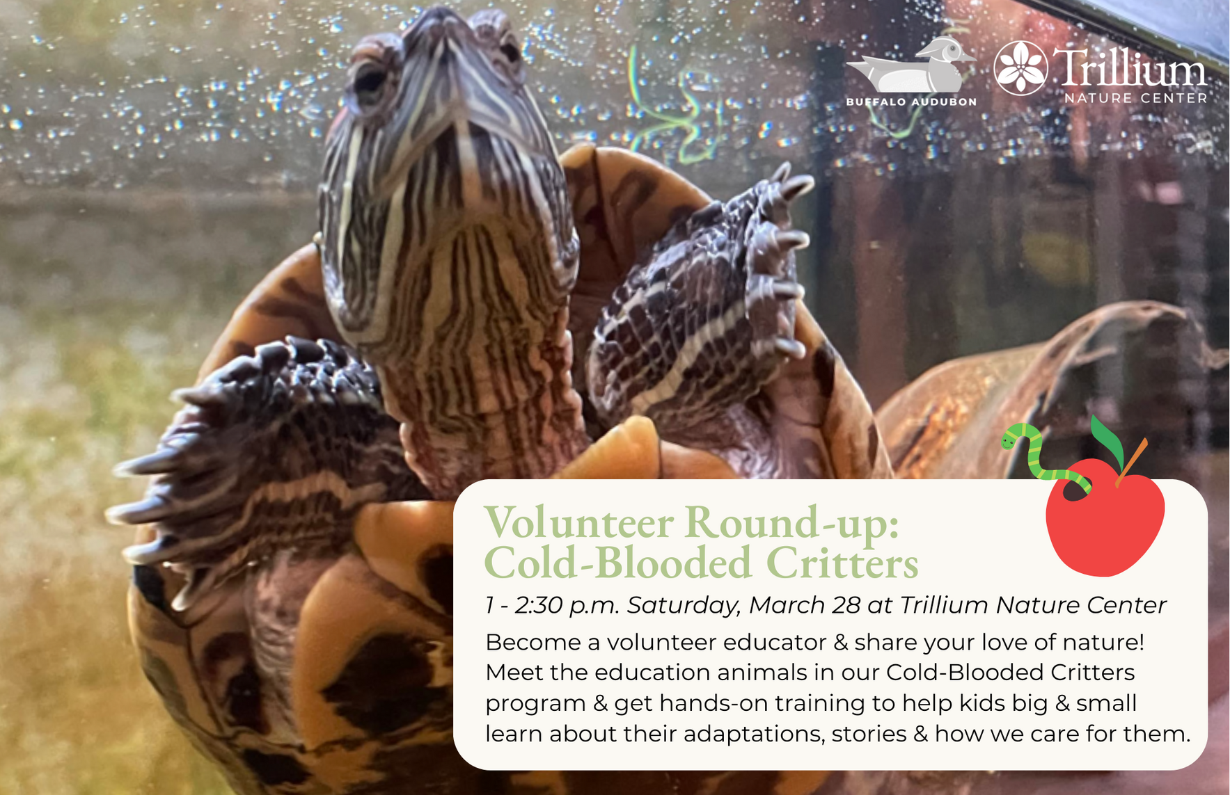 Volunteer Round-Up: Cold Blooded Critters Volunteer Workshop image