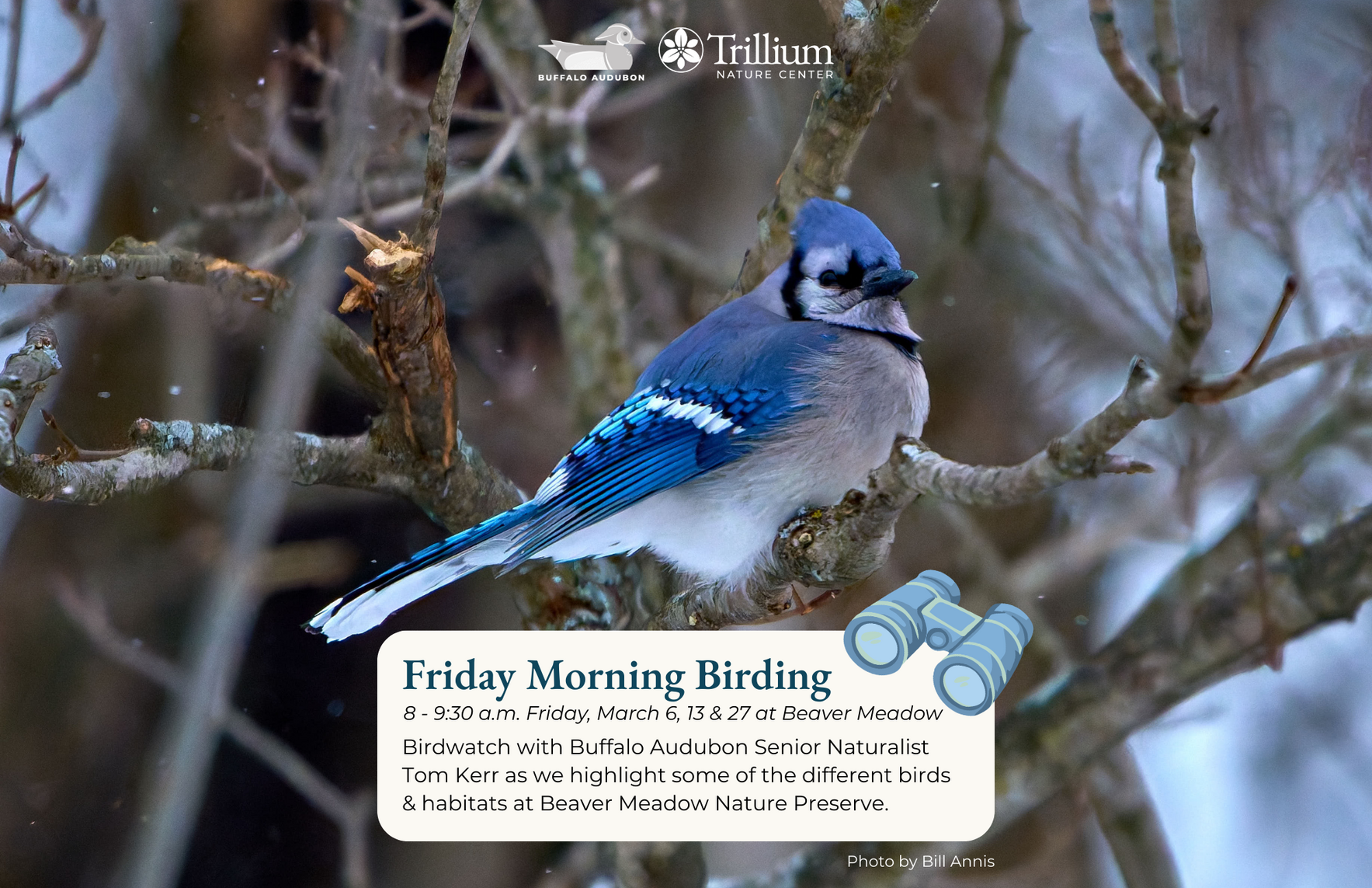 Friday Morning Birding - March 6th, 2026 - Beaver Meadow image