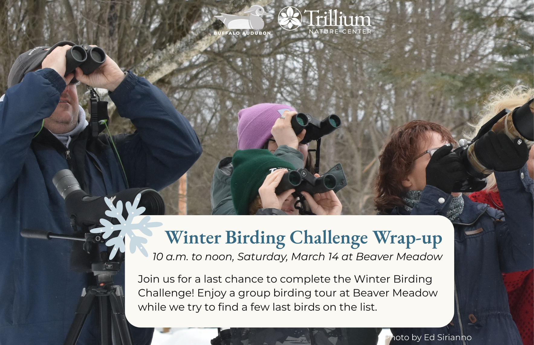 Winter Birding Challenge Wrap-up image