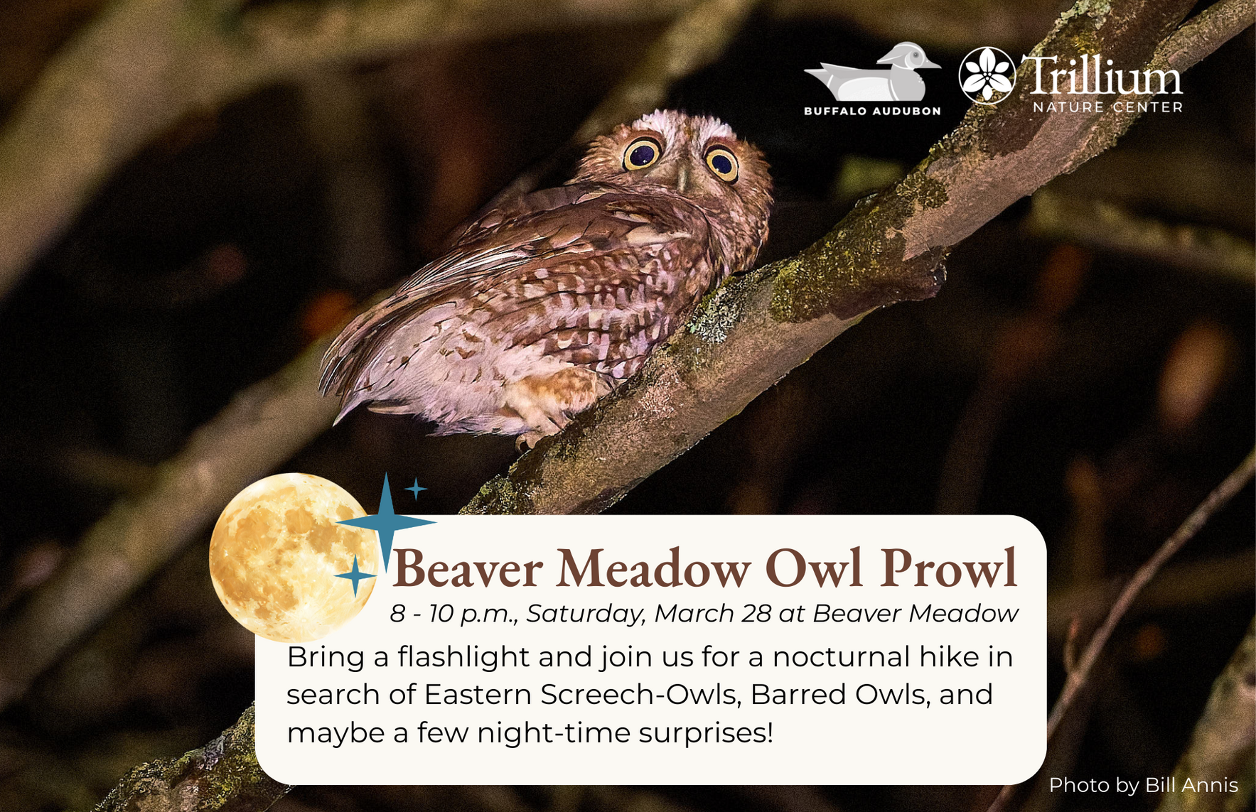 Beaver Meadow Owl Prowl image