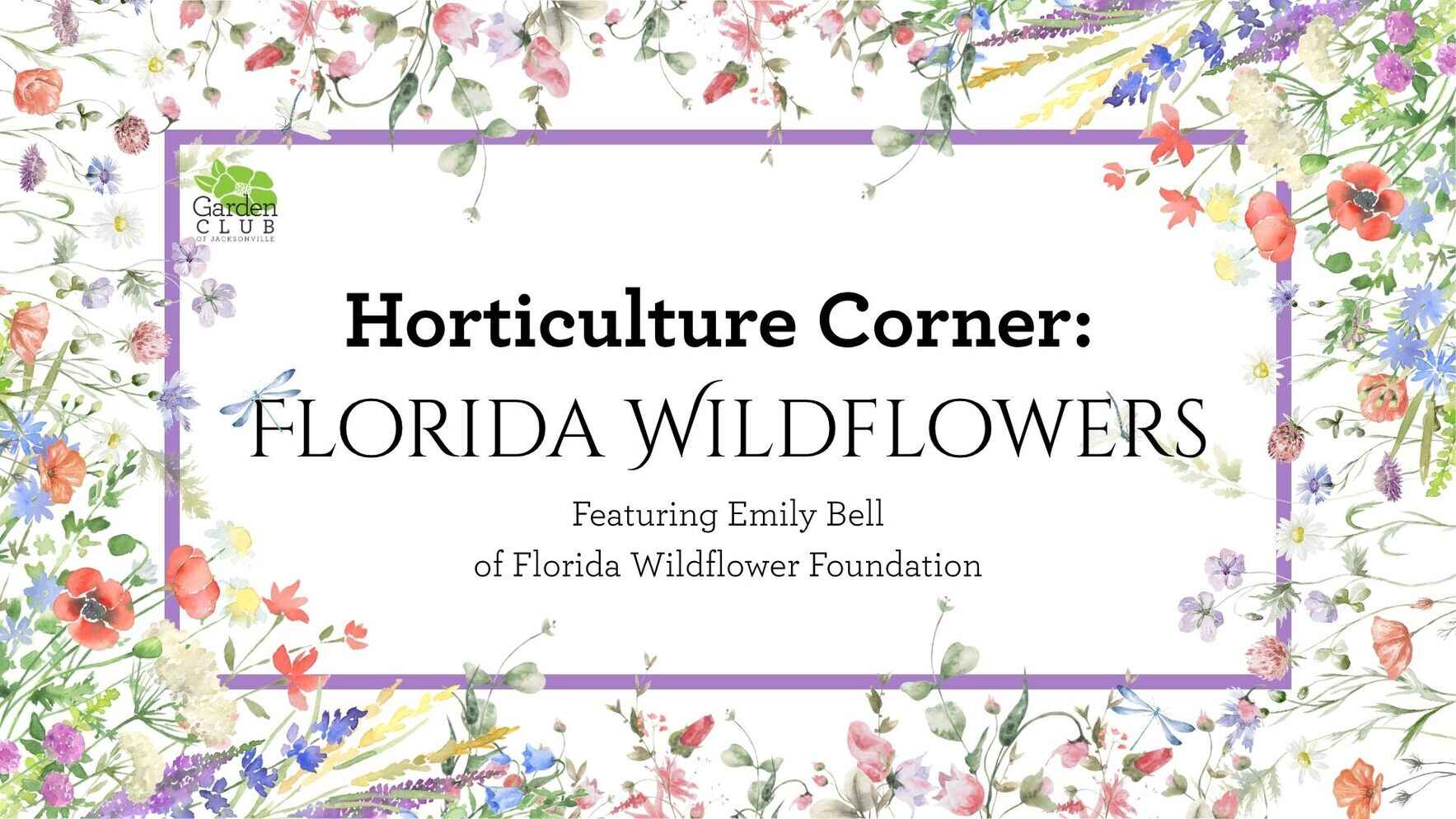 Horticulture Corner: Florida Wildflowers image
