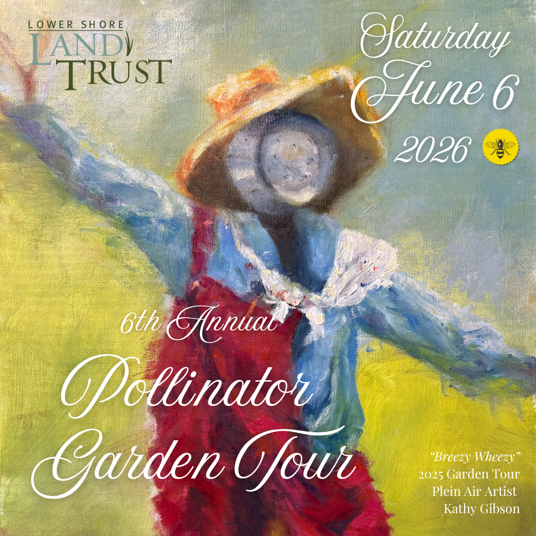 2026 Sponsorship Opportunities: Pollinator Garden Tour  image