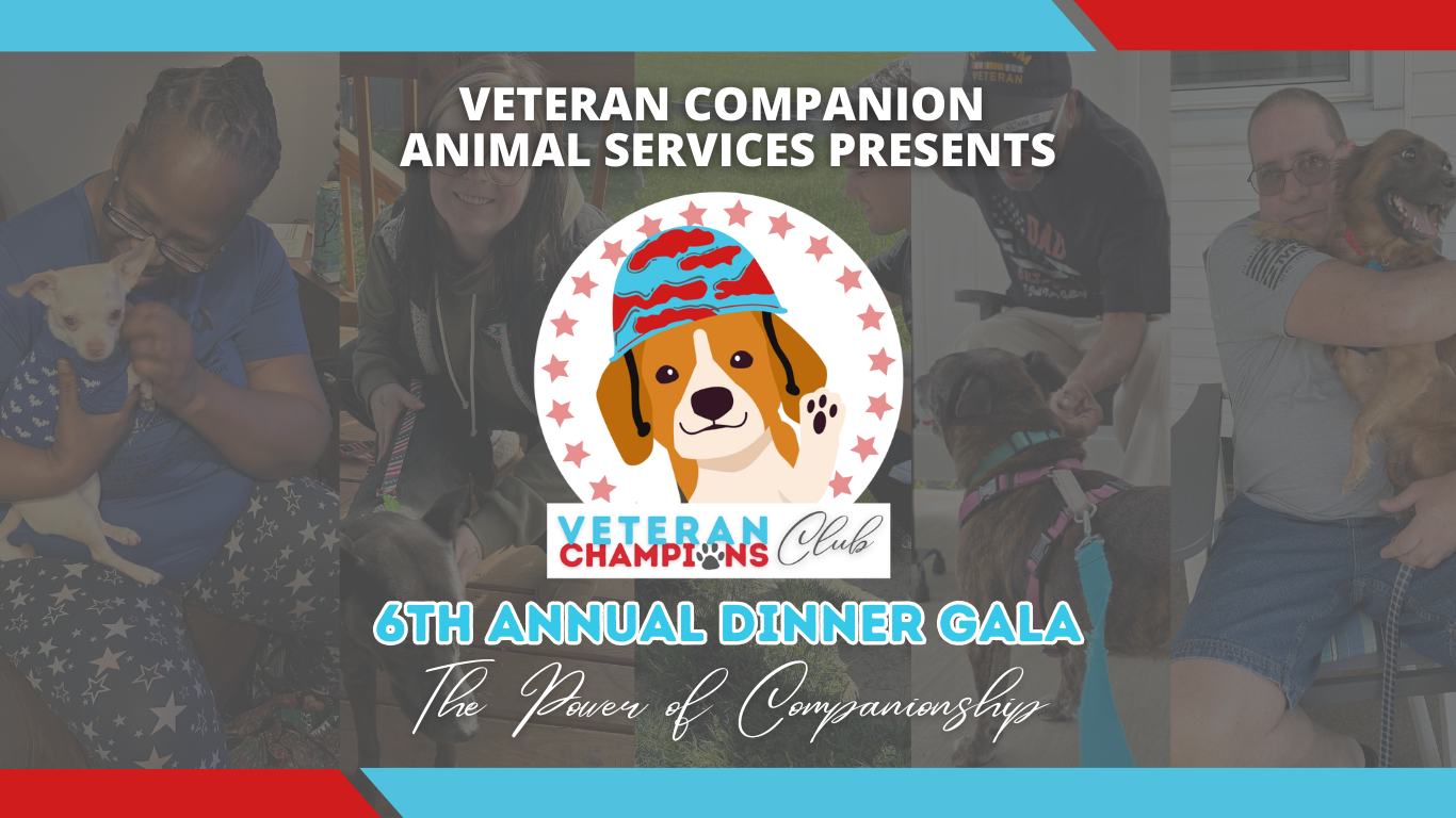 2026 Veteran Champions Club Gala image