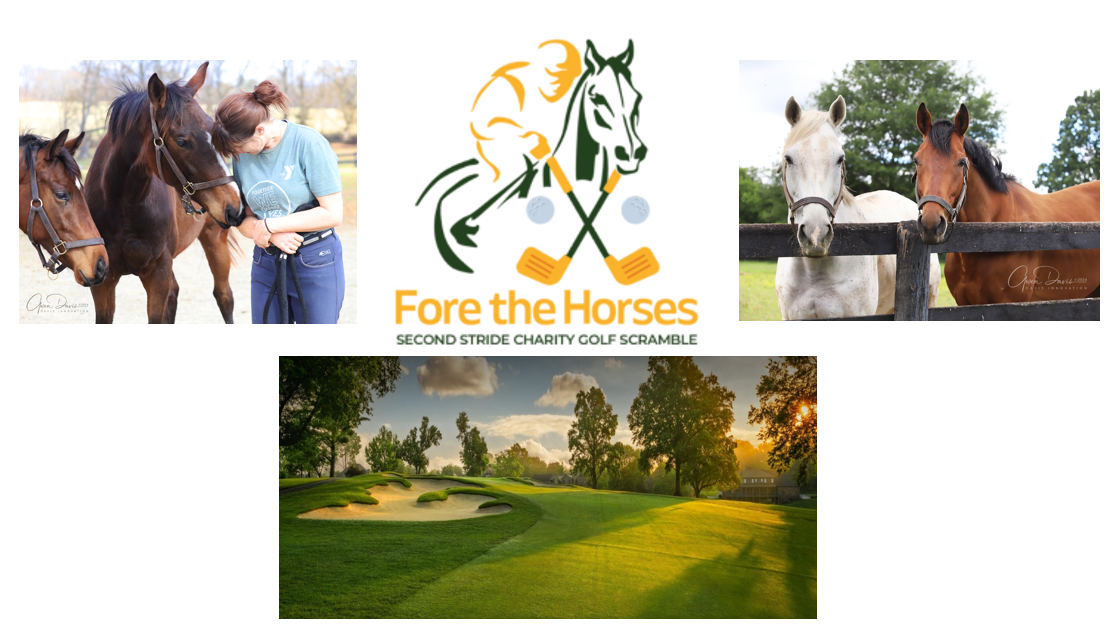 Fore the Horses: Second Stride Charity Golf Tournament image