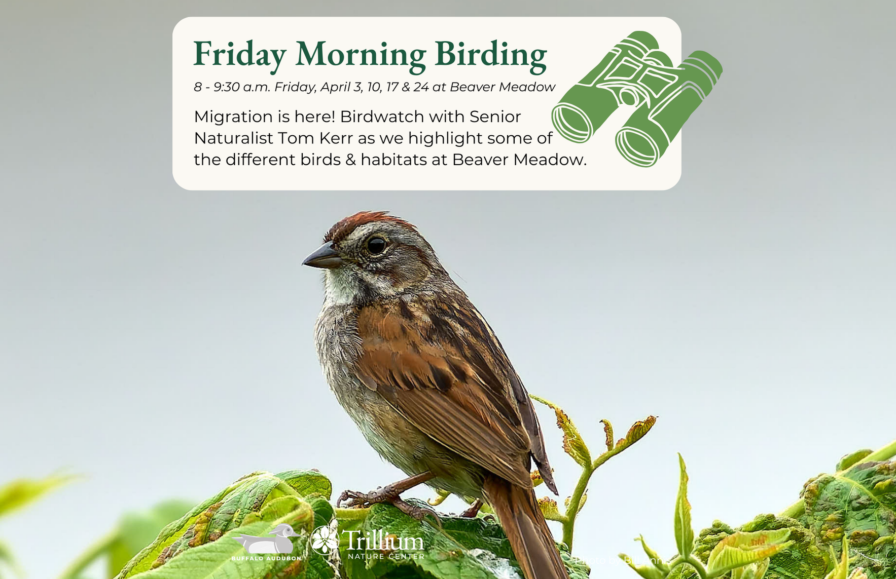 Friday Morning Birding - Beaver Meadow - April 24th 2026 image