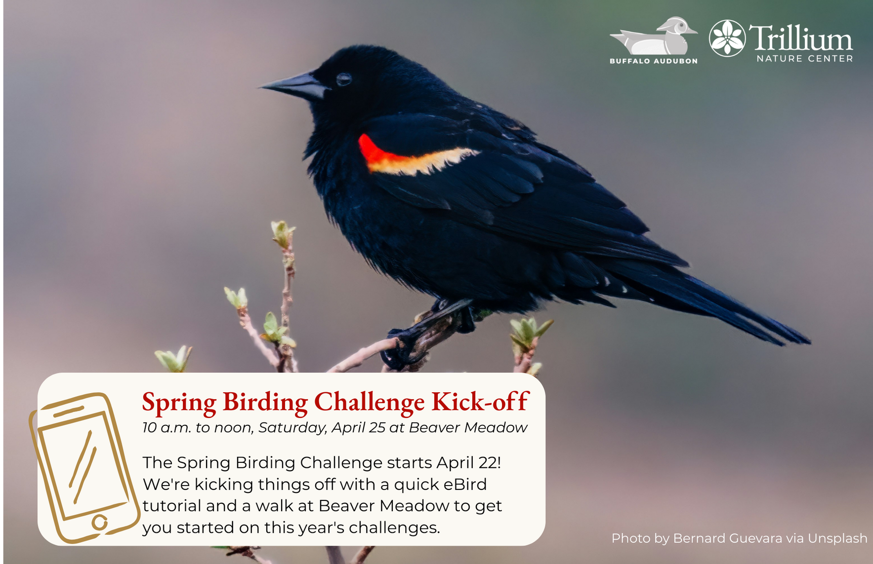 Spring Birding Challenge Kick-off image