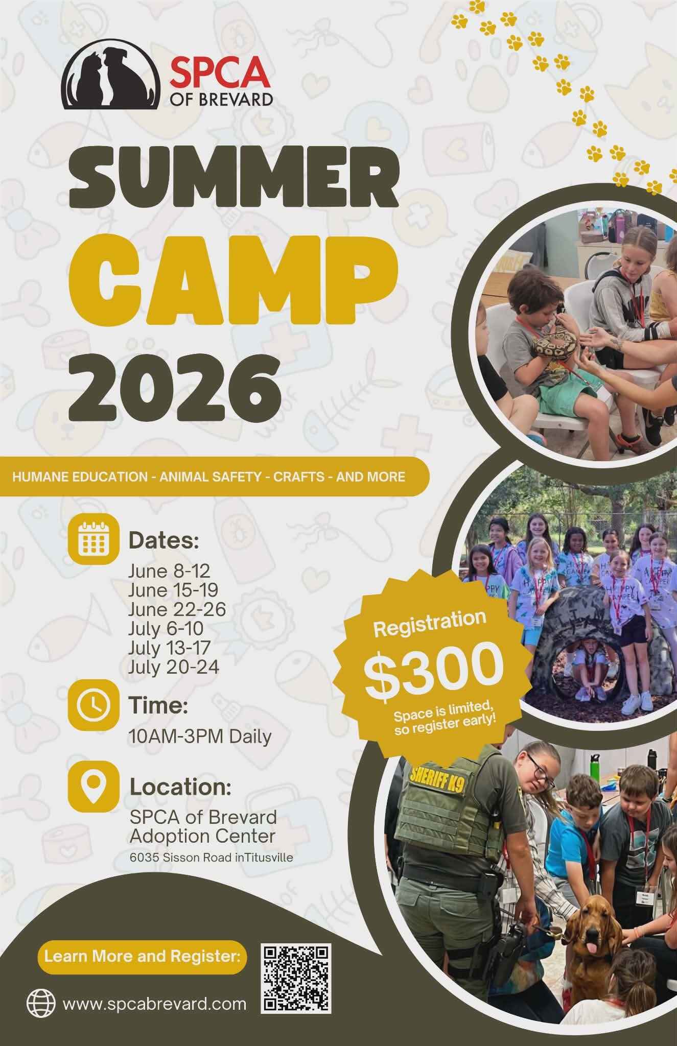 2026 Summer Camp image