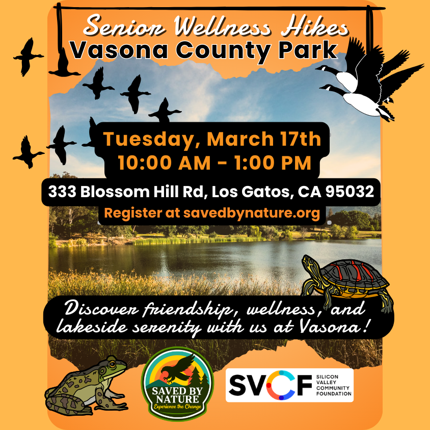 Senior Wellness Hike - Vasona Lake County Park image