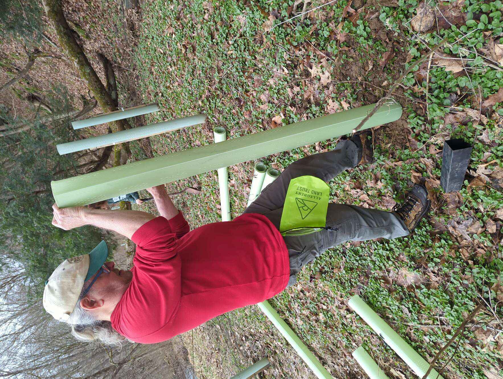 Tree Steward Program Field Training- Girty's Woods image