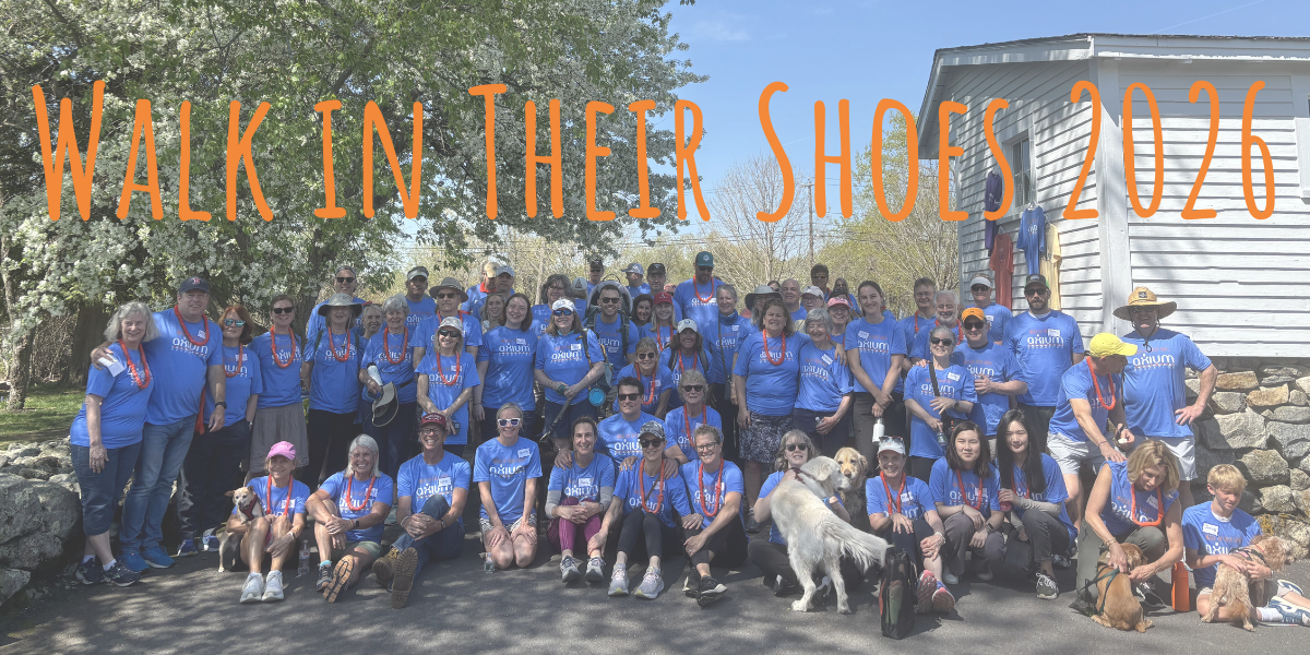 Walk in Their Shoes 2026 image