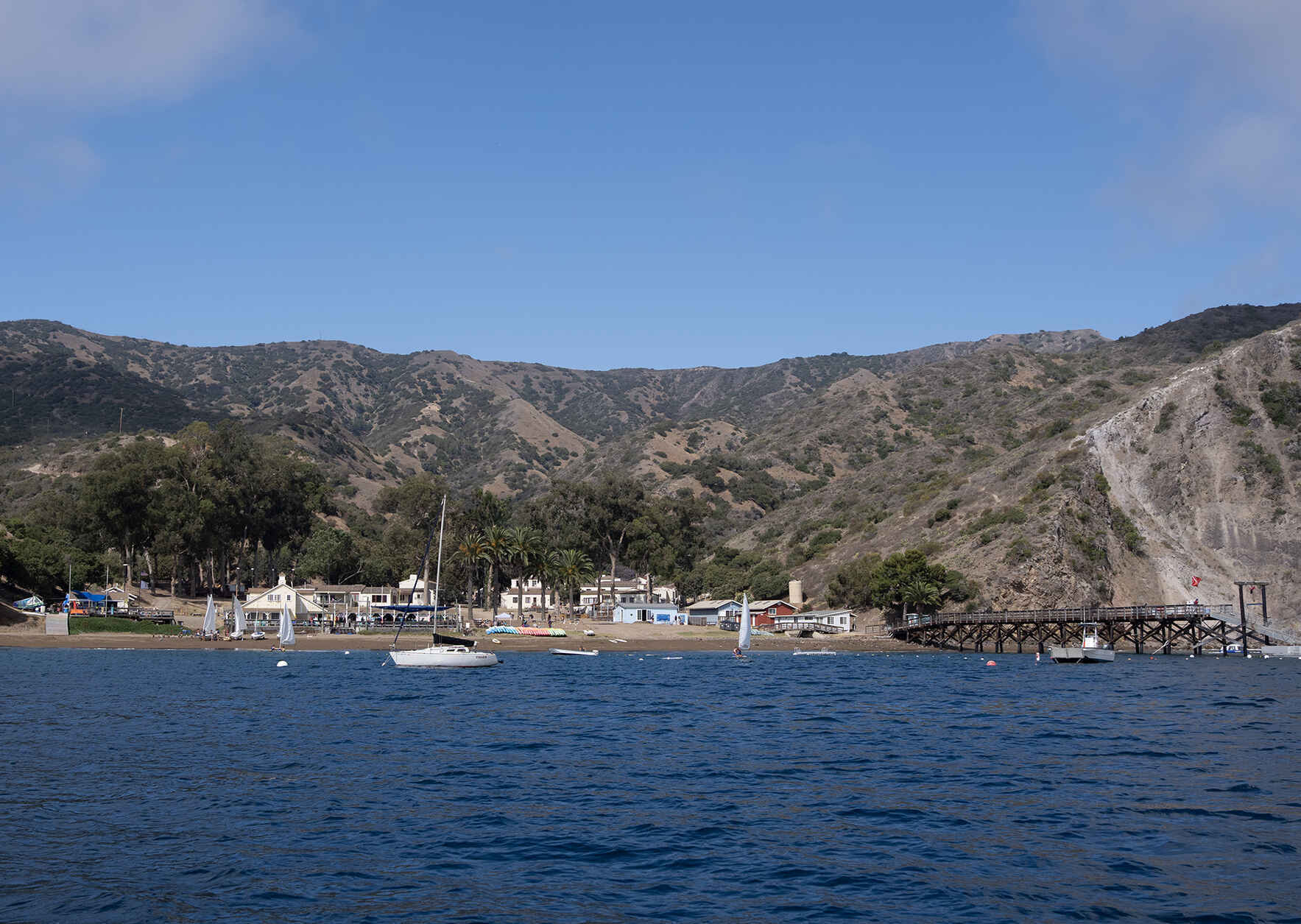 Catalina Island Volunteer Day image