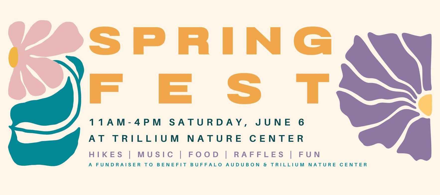 SpringFest 2026 image