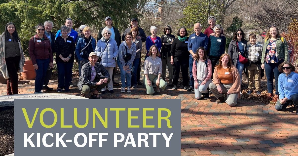 Volunteer Kick-Off Party image