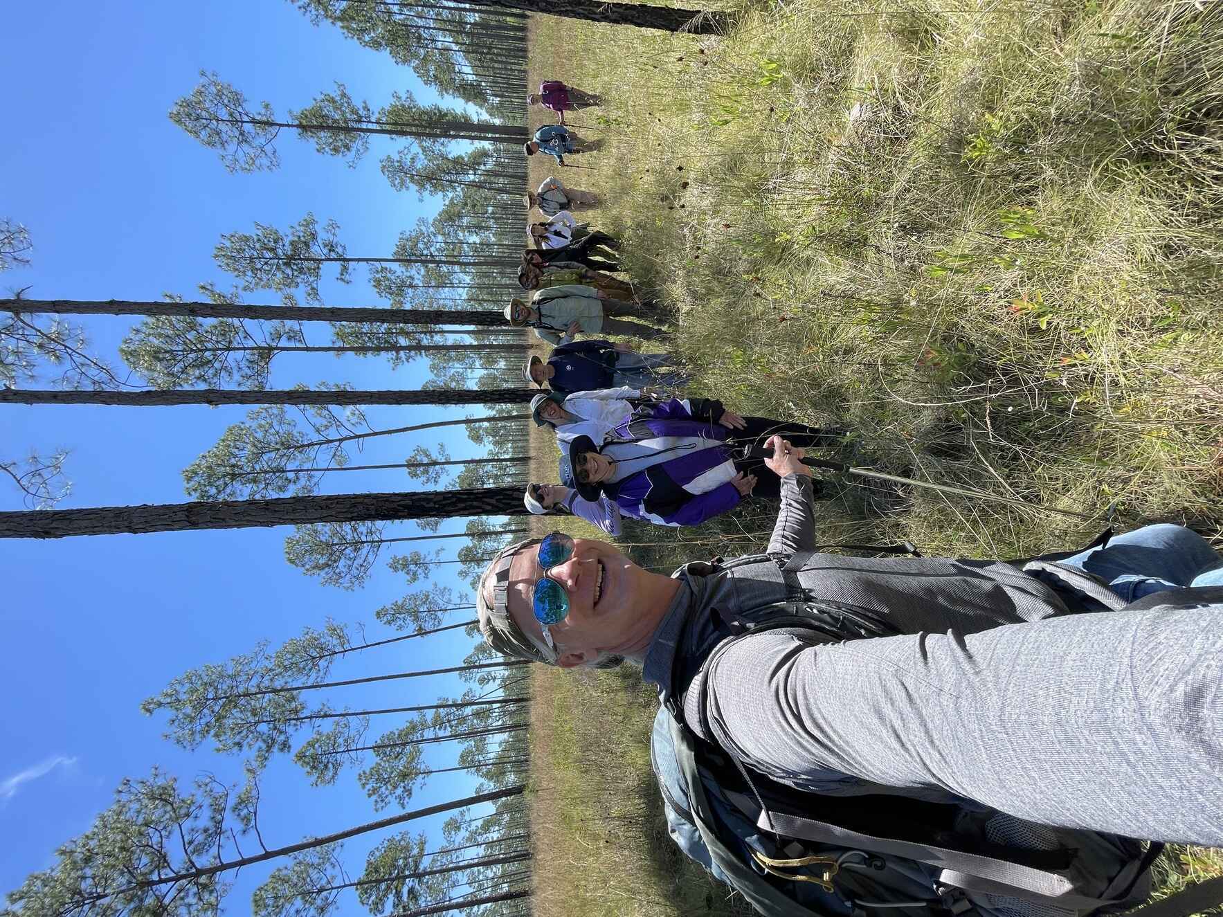 Longleaf Pine Wonderland Tour image