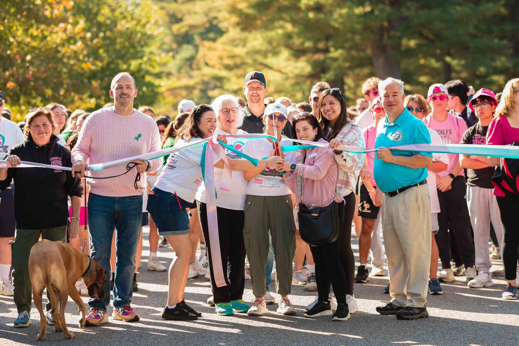 2026 Support-A-Walk Sponsorship image