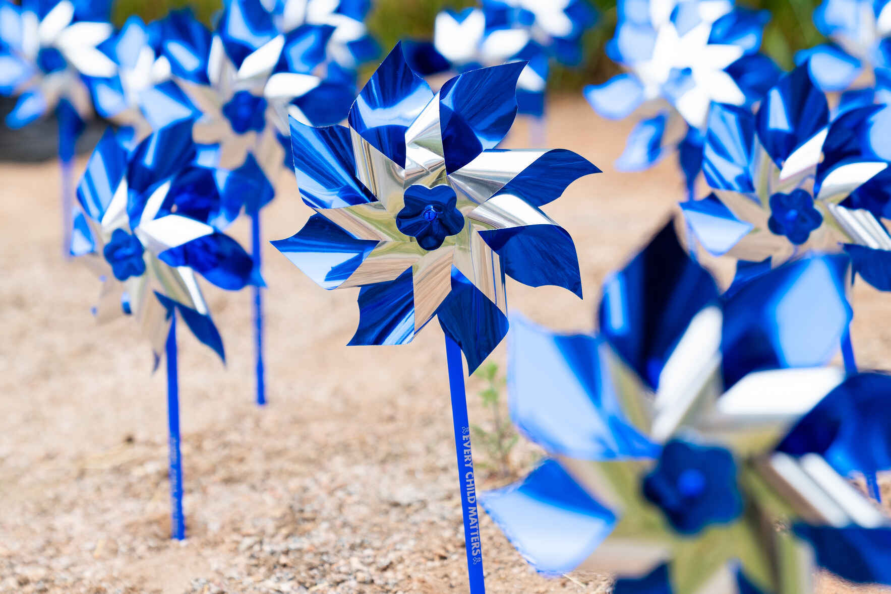 Pinwheels for Prevention: Planting Hope Across Mesa County image