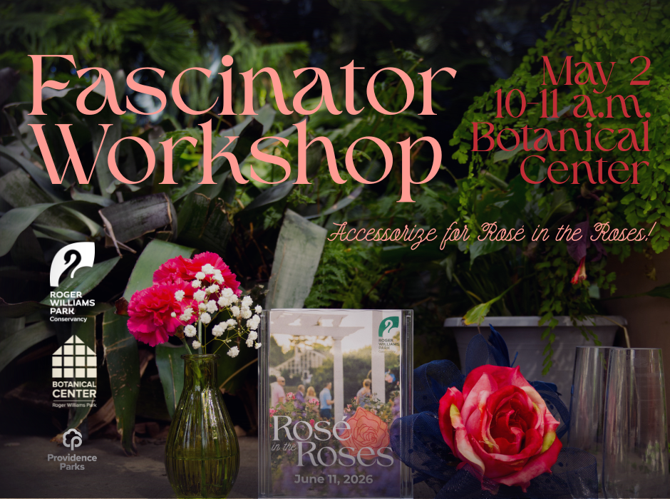 Fascinator Workshop for Rosé in the Roses! image