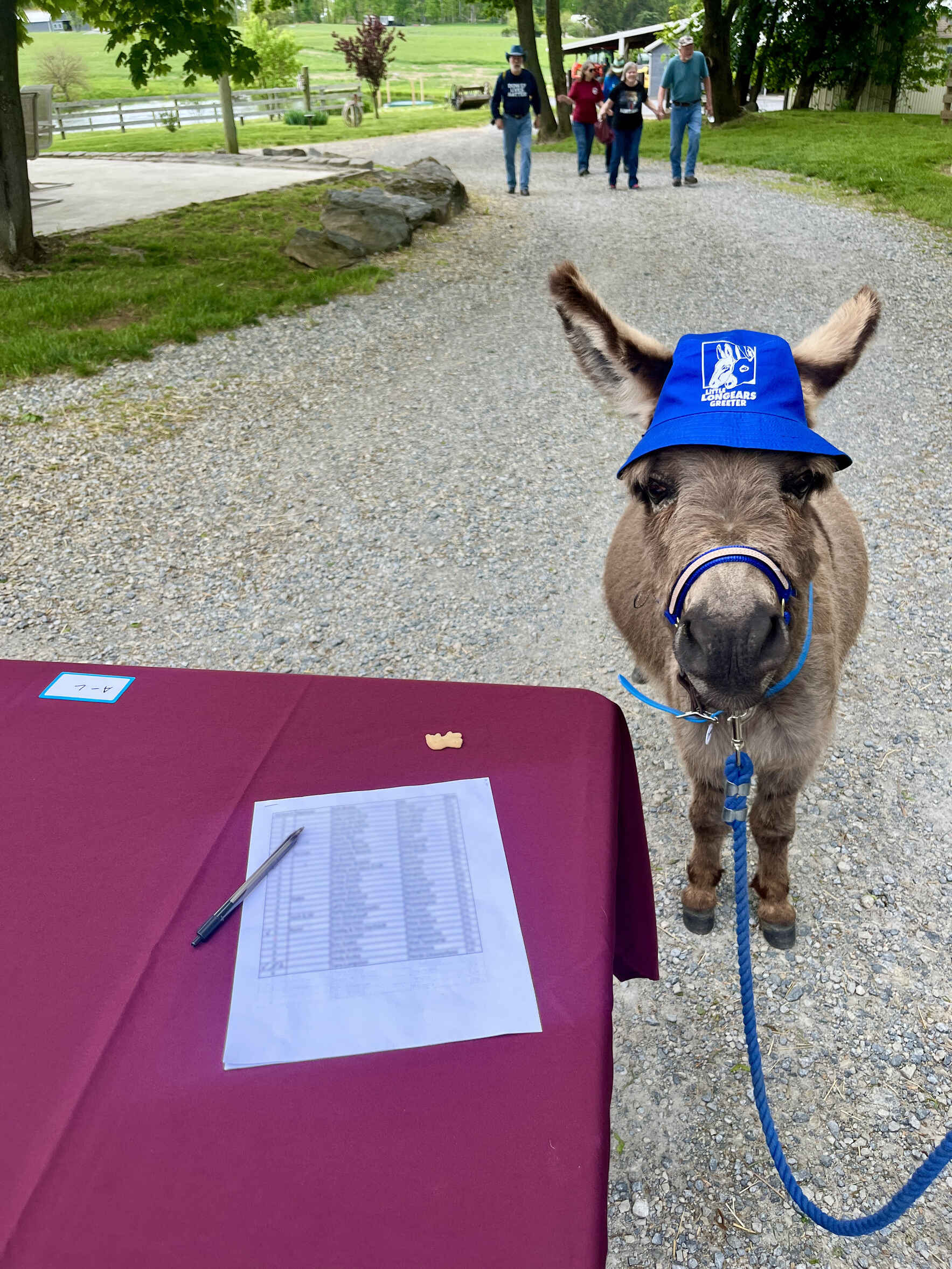 2026 Lunch with the Longears image