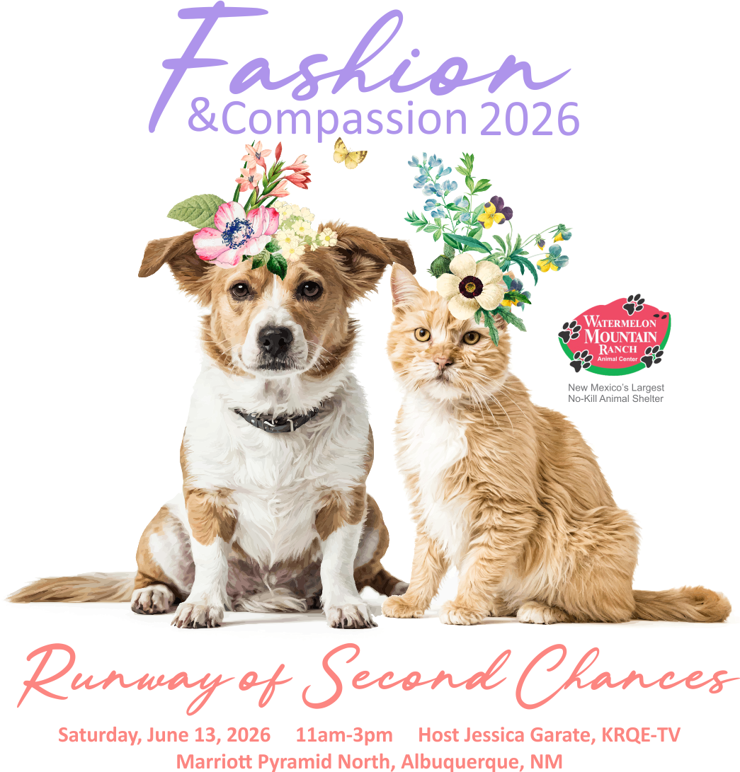 Fashion Show 2026 image