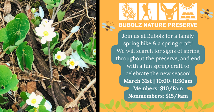 Family Spring Hike at Bubolz! image