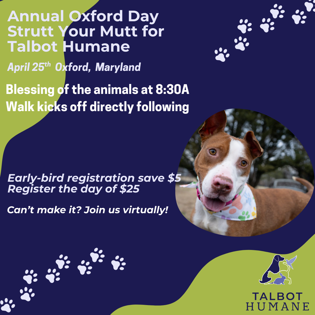 2026 Oxford Day Strutt Your Mutt  image